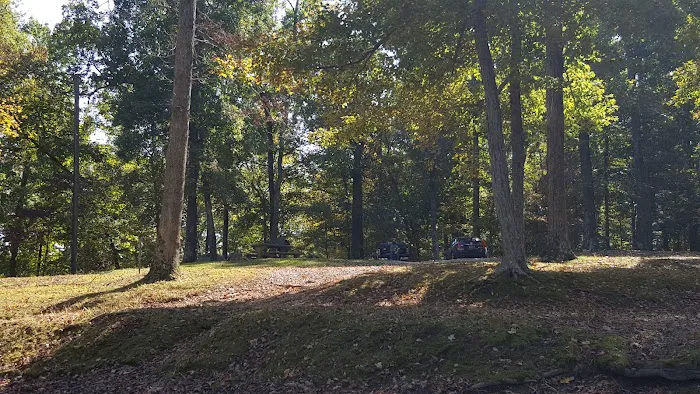 Birmingham Ferry Campground & Boat Ramp Picture 9