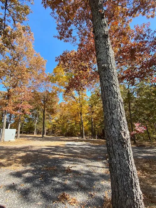 Sizzlin Sisters Campground Picture 4