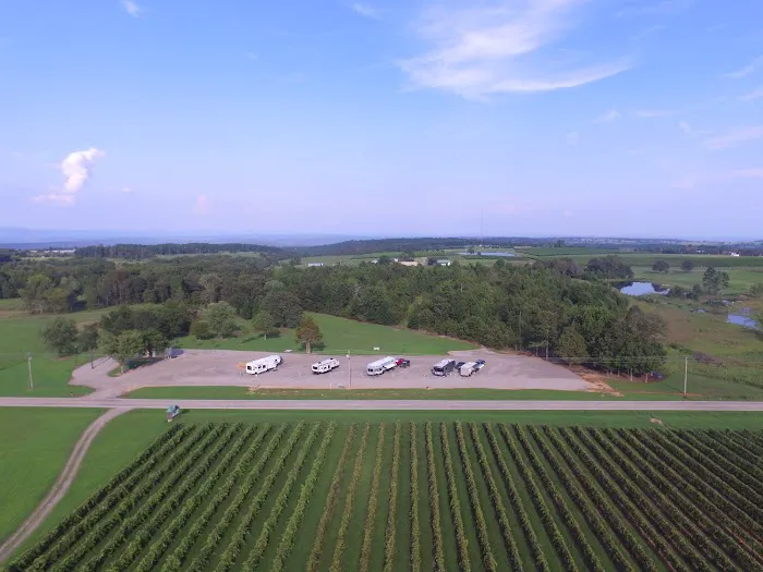 Grape Country RV Park Picture 7