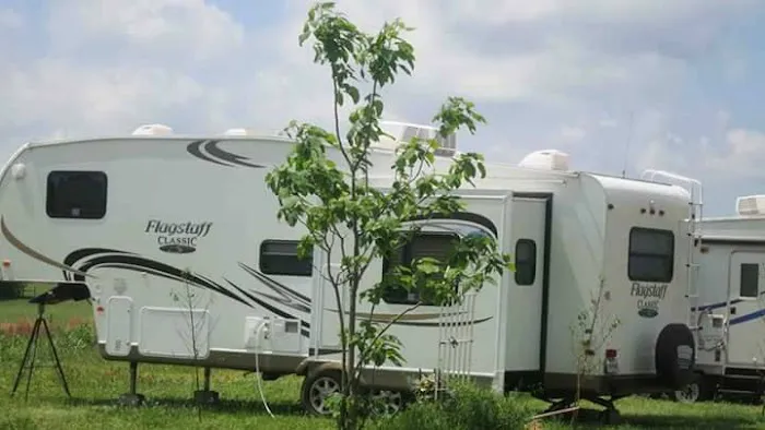 Primrose Farm RV & Camping Picture 9