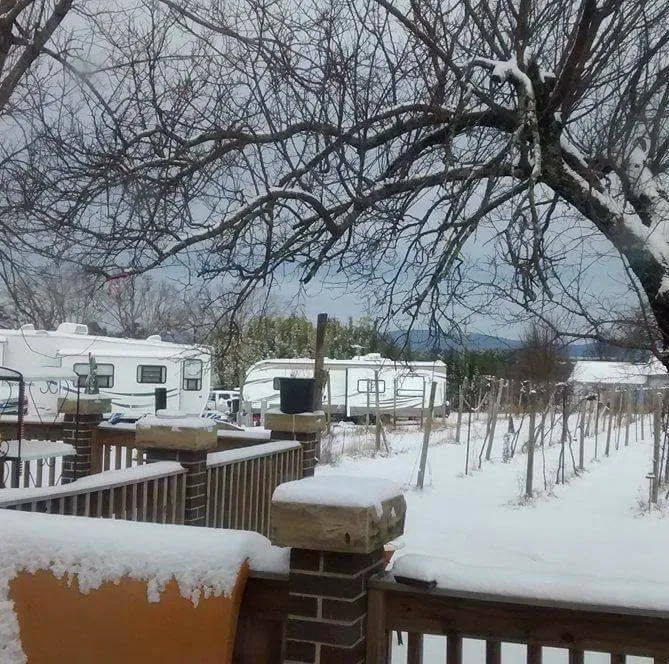Primrose Farm RV & Camping Picture 2