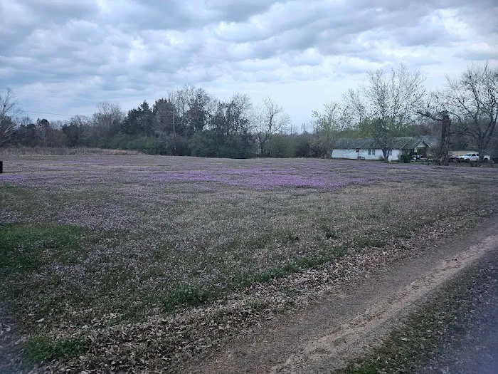 The Crossroads Mobile Home & RV Park Picture 10