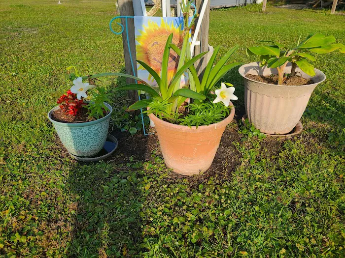 Coast Meadows Mobile Estate Picture 8
