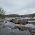 Cedar Lake Campsite #1