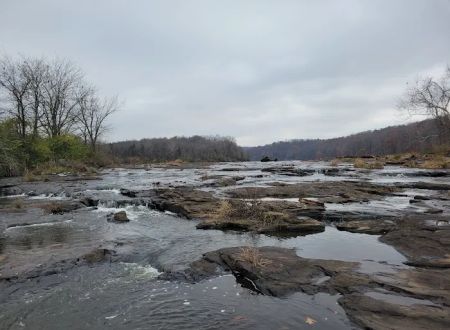 Cedar Lake Campsite #1