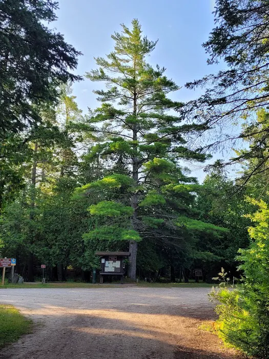 Big Knob State Forest Campground Picture 5