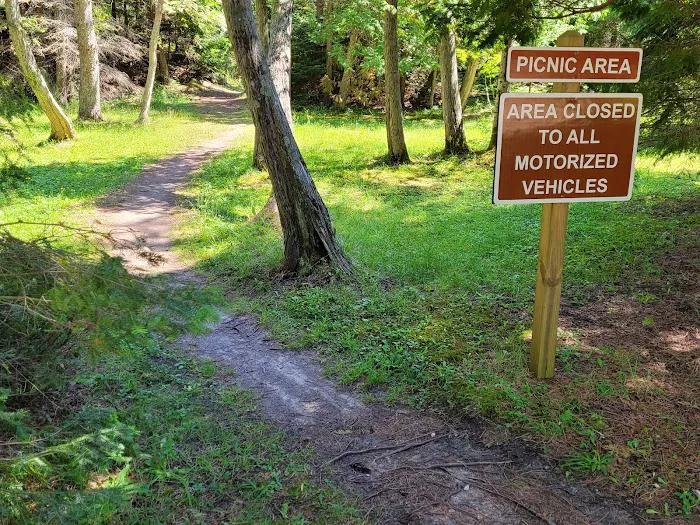 Big Knob State Forest Campground Picture 9