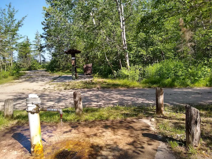 Natalie State Forest Campground Picture 8