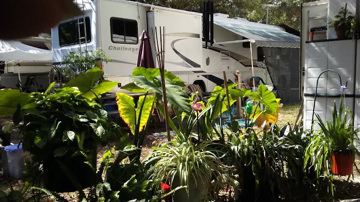 Anclote Village RV Park Picture 2