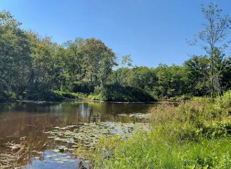 Confluence Camping Boat Launch & Rental ( KALLIOS LANDING)