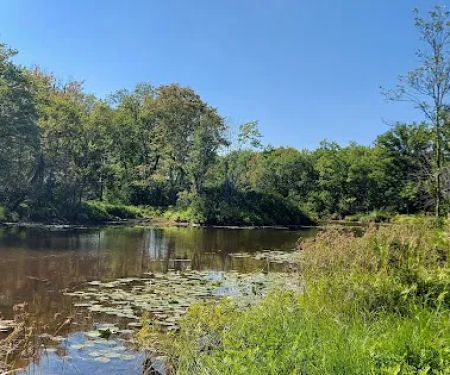 Confluence Camping Boat Launch & Rental ( KALLIOS LANDING)