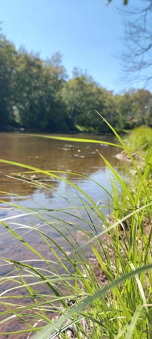 Confluence Camping Boat Launch & Rental ( KALLIOS LANDING) Picture 2