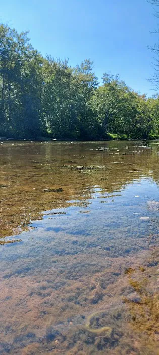 Confluence Camping Boat Launch & Rental ( KALLIOS LANDING) Picture 6