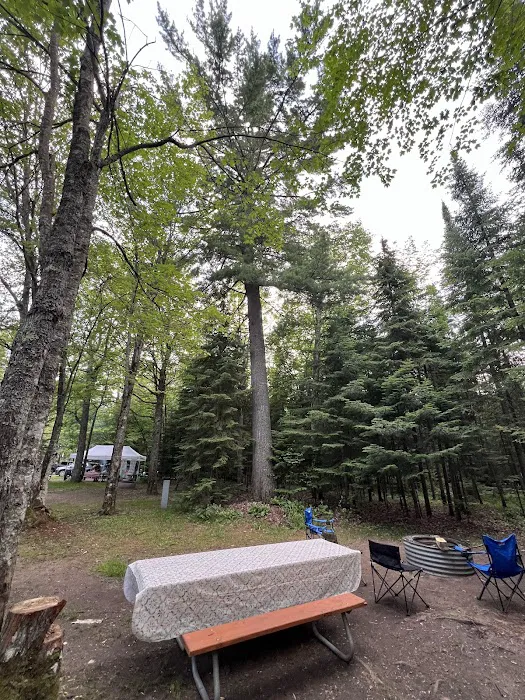 Tahquamenon Falls State Park Rivermouth Campgrounds Picture 3