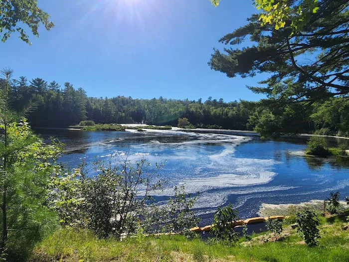 Tahquamenon Falls State Park Rivermouth Campgrounds Picture 9