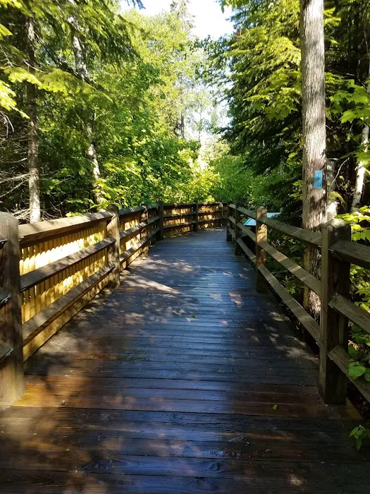 Tahquamenon Falls State Park Rivermouth Campgrounds Picture 5