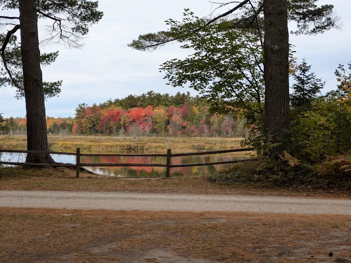 Tahquamenon Falls State Park Rivermouth Campgrounds Picture 7
