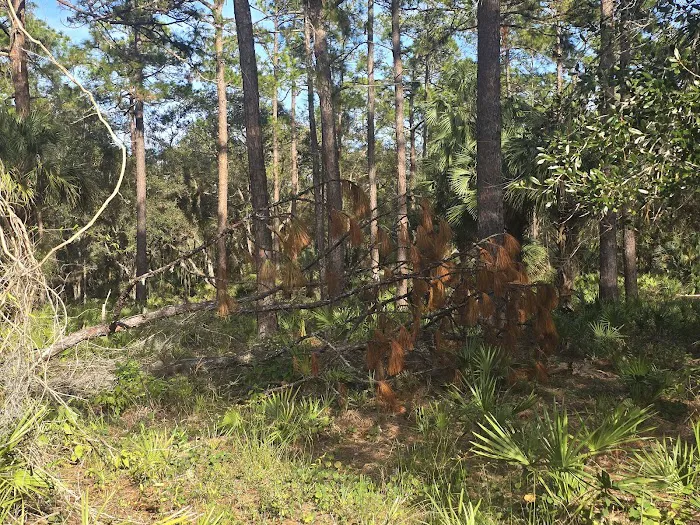 Palm Spring Estates MHC Picture 4