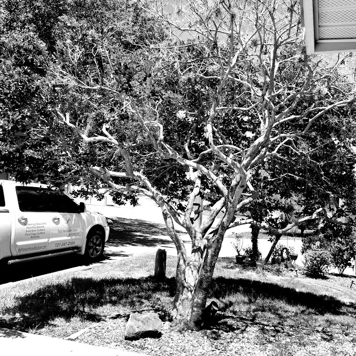 Stonehedge Residents Inc Picture 10