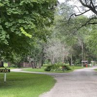 Izaak Walton League of America Geneseo Chapter ico