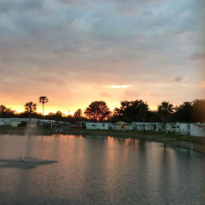Palm View Gardens RV Resort Picture 9