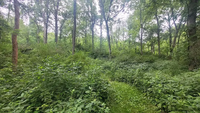 Morrison-Rockwood State Park Campground Picture 2