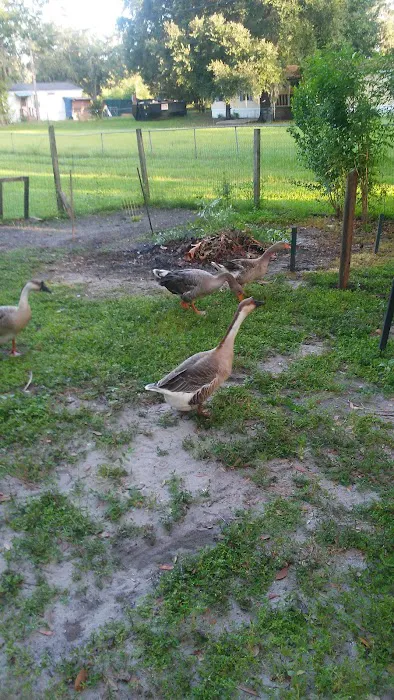 Lake View Rv Park Picture 5