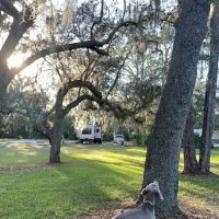 Johnston Springs RV Campground & Storage ico