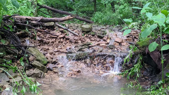 Hickory Hill Campground Picture 3