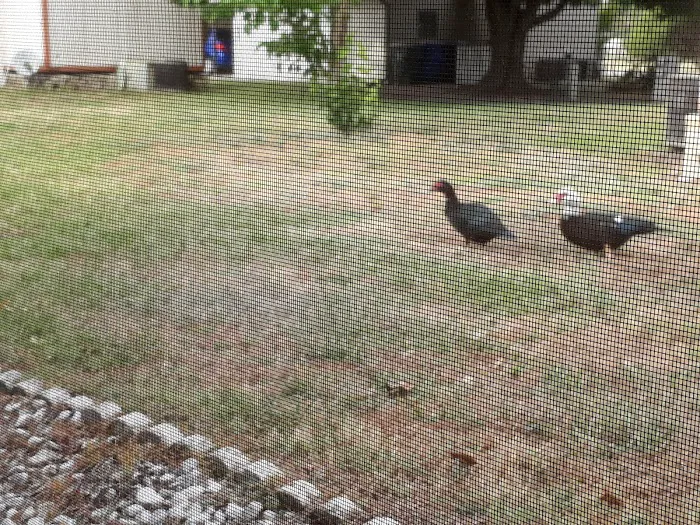 Sugar Mill Mobile Home Park Picture 9