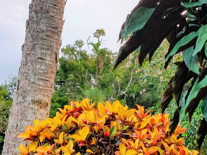 Tropical Trail Village Picture 6