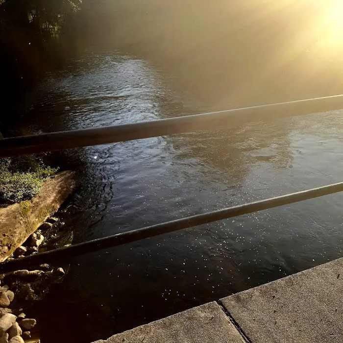 Bark River Campgrounds Picture 7