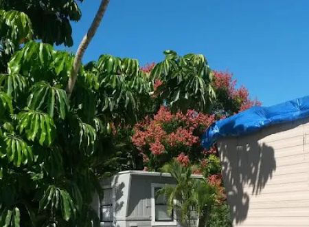 Byrd Plaza Mobile Home Park