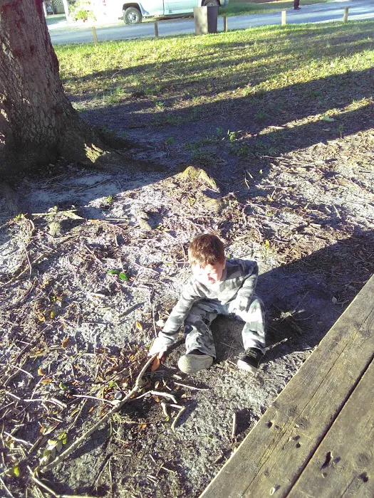 Westgate MHP, LLC Picture 4