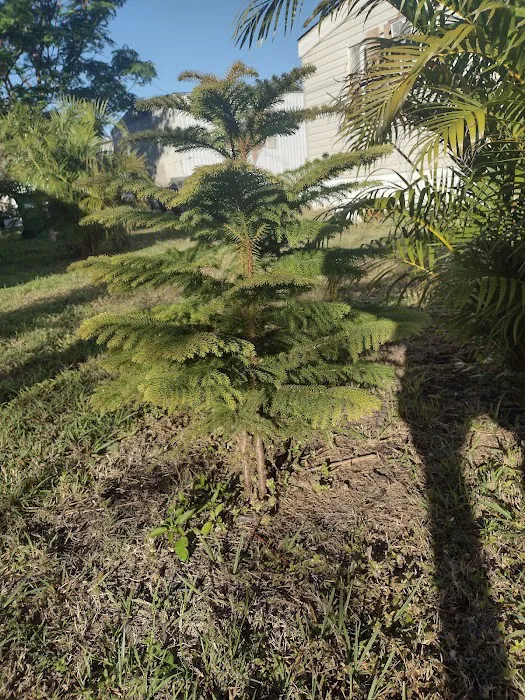 Sunrise Village Picture 2