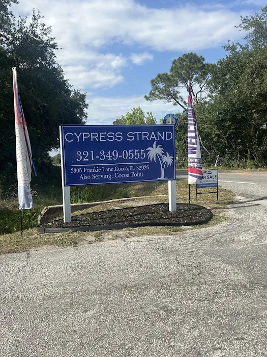 Cypress Picture 5
