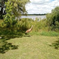 Ottawa Lake Amphitheater ico