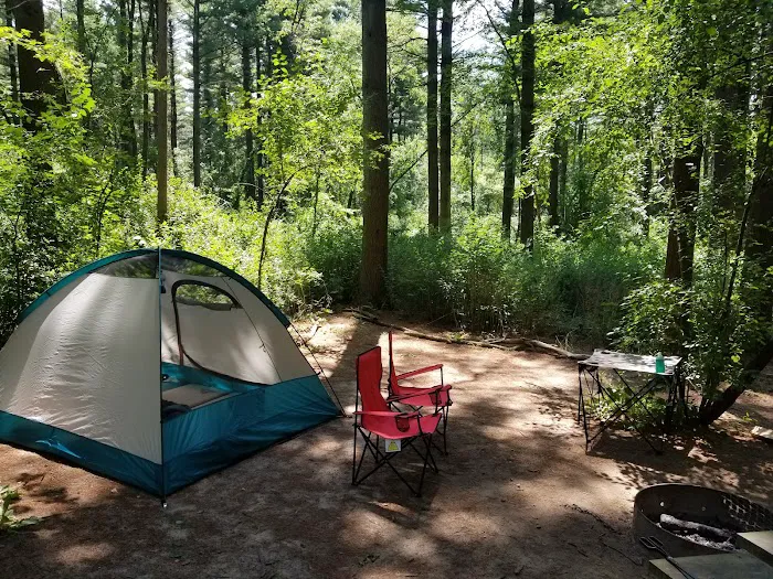 Pinewoods Campground Picture 4