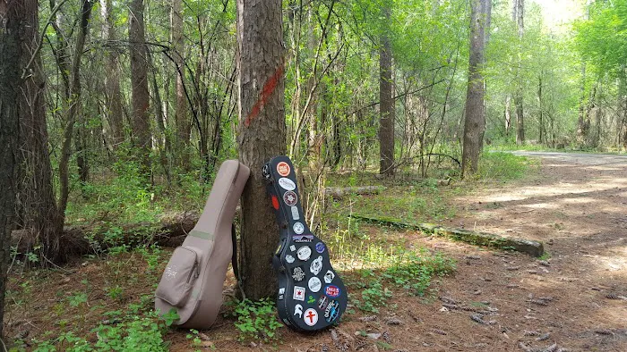 Pinewoods Campground Picture 8