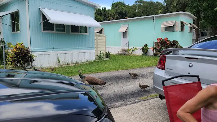 Cape Canaveral Mobile Estates Picture 6