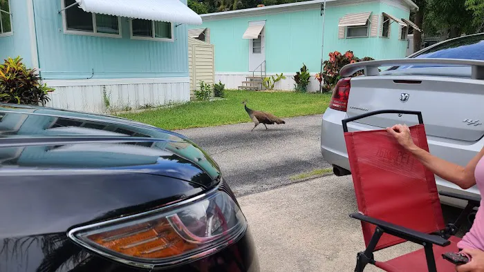 Cape Canaveral Mobile Estates Picture 8