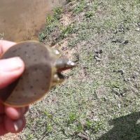 Big Oak Campground ico