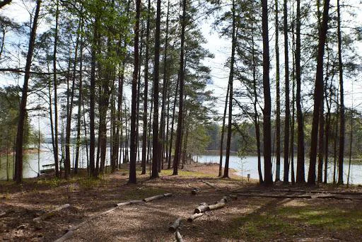 EMREC Camp Picture 2
