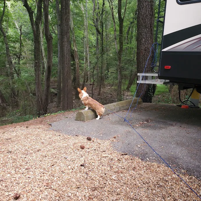Old Highway 41 #3 Campground Picture 7