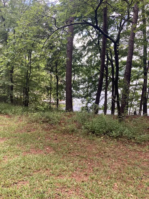 Old Highway 41 #3 Campground Picture 6