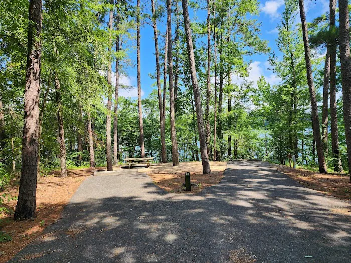 Old Highway 41 #3 Campground Picture 5
