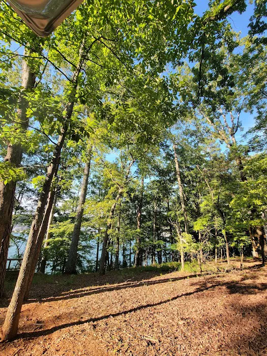 Red Top Mountain State Park Campground Picture 4