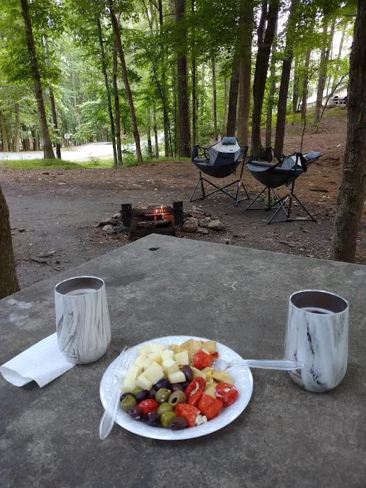 Red Top Mountain State Park Campground Picture 5