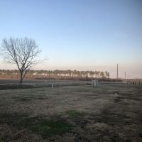 Terrapin Creek lot ico