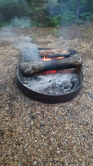 Coleman Lake Campground and Picnic Area Picture 5